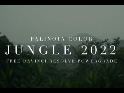 JUNGLE 2022 | POWERGRADE