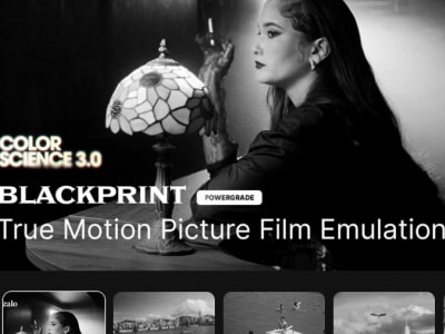 BlackPrint B&W Film Emulation