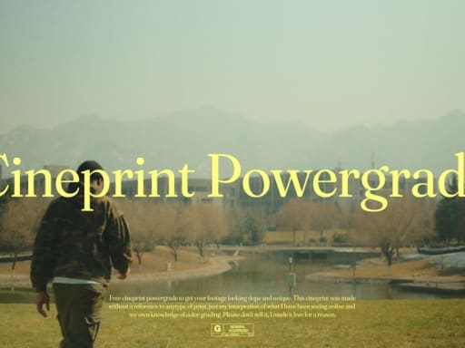 Roninxvi  Cineprint Powergrade