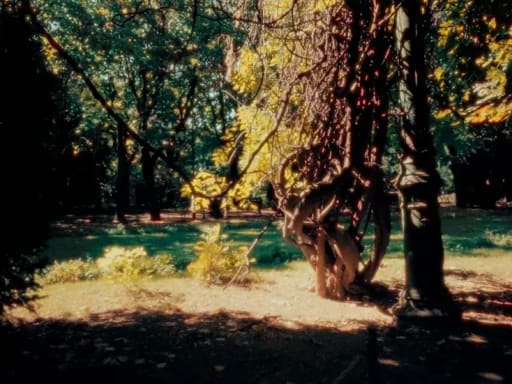 Super 16mm Film Look