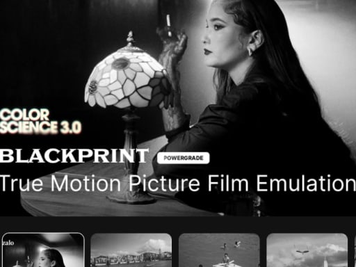 BlackPrint B&W Film Emulation