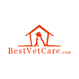 Best Vet Care