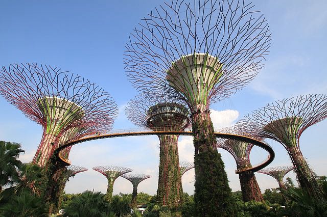 gardens by the bay Singapour blog de voyage