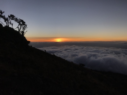 merveilleux coucher de soleil tanzanie nuit