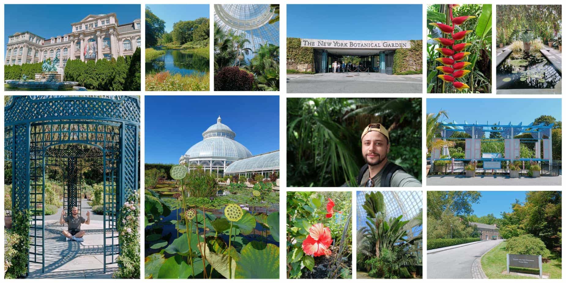 bronx jardin botanique