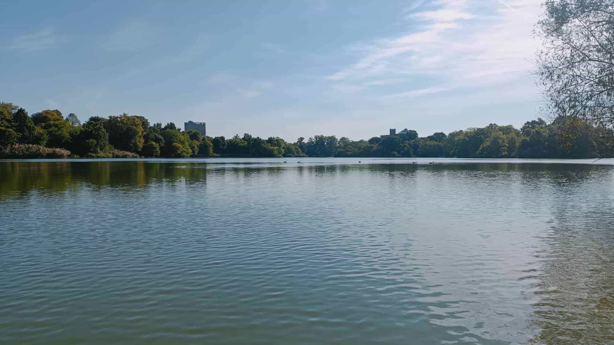 lac prospect park Brooklyn