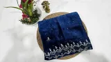 Fendi Fabric with Premium Kolkata Handwork — blue shade