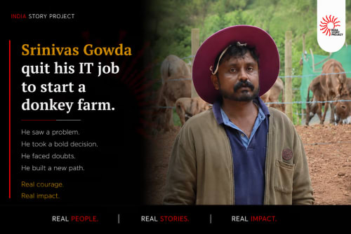 Rearing donkeys as a business start-up