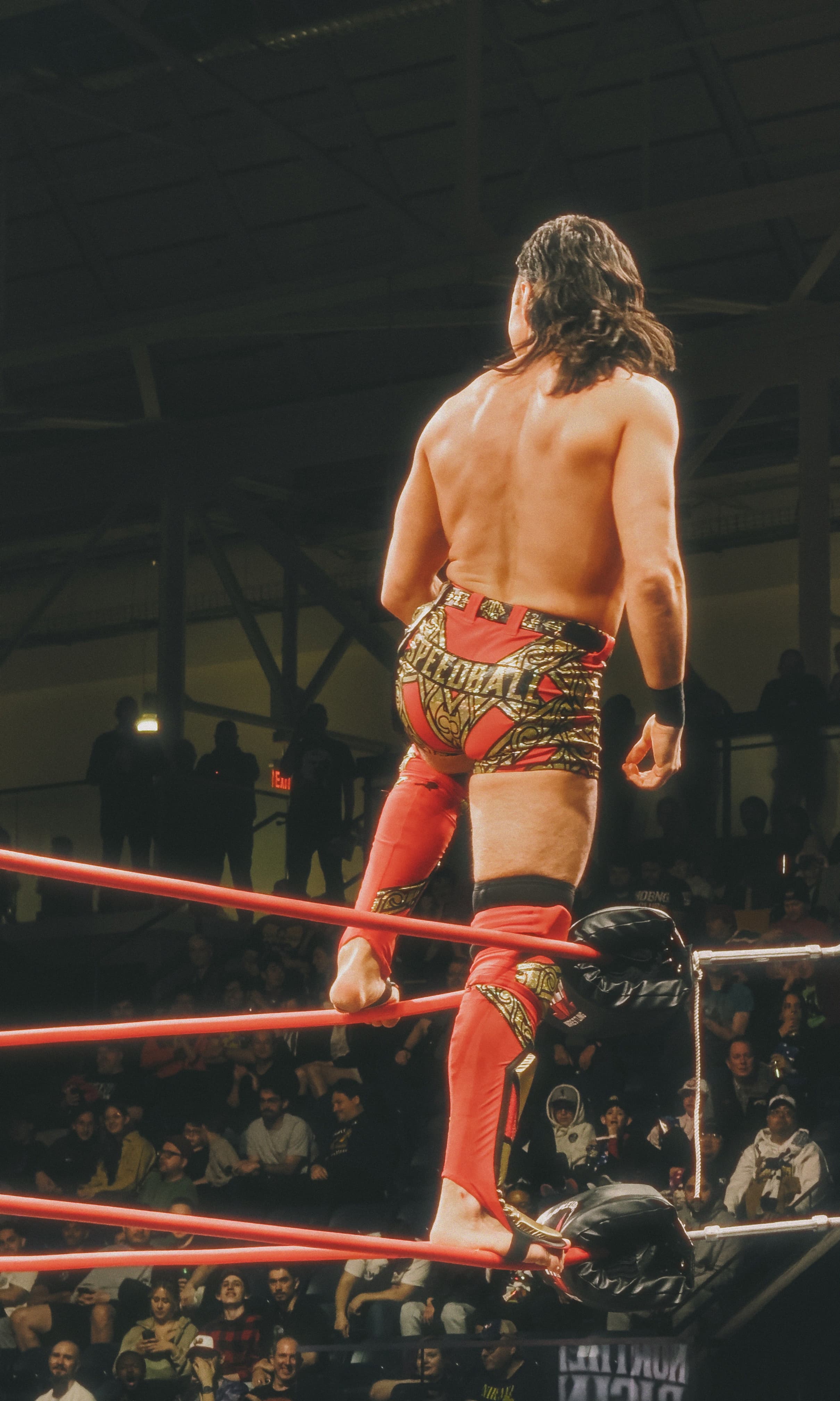 A photo of “Speedball” Mike Bailey posing on the top rope at Maple Leaf Pro Wrestling's Northern Rising event in Toronto.