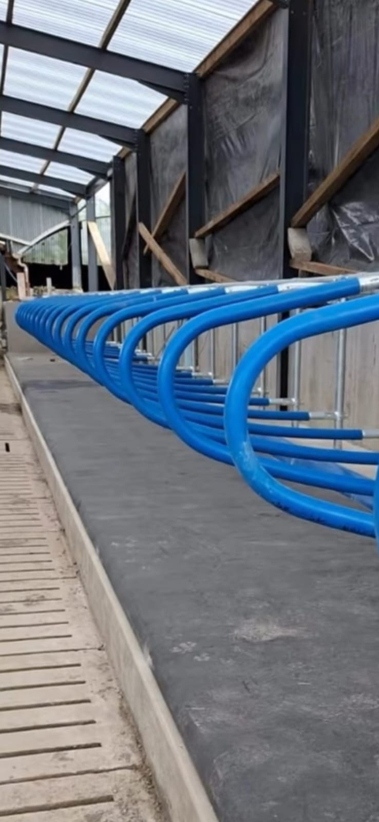 Cattle Rack