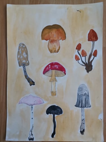 Mushrooms