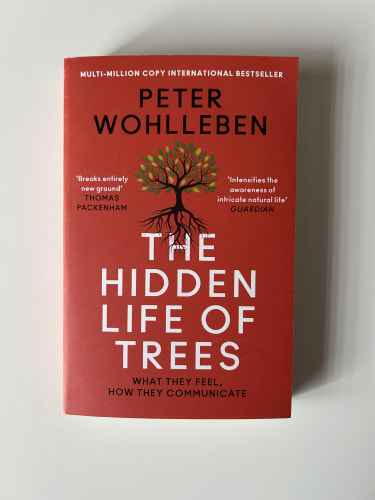 The hidden life of trees