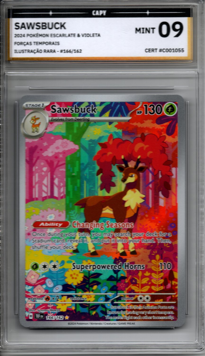 Sawsbuck (166/162) - Frente