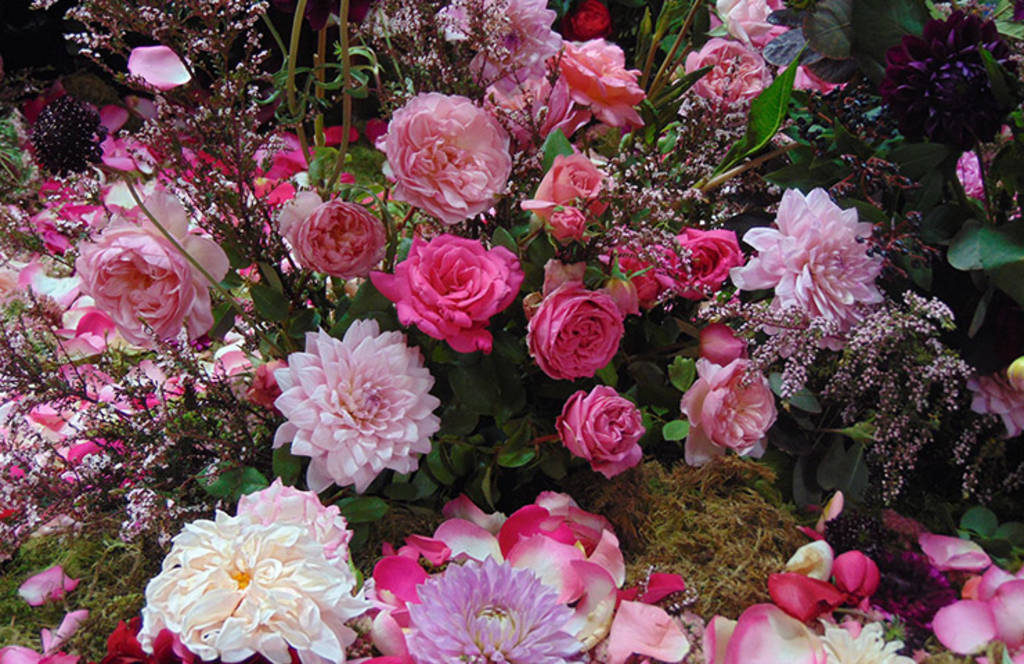 Wedding Flower Costs & Budget How to Get the Biggest Blooms for Your