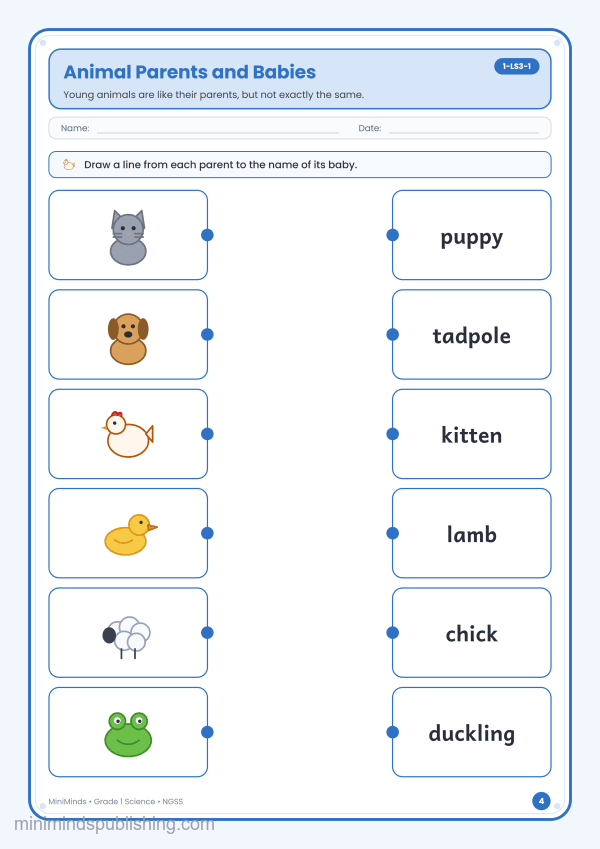 Animal Parents and Babies — free printable 1st Grade science worksheet for ages 6-7 (Common Core 1-LS3-1)