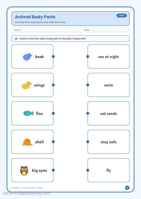 Animal Body Parts — free printable 1st Grade science worksheet for ages 6-7 (Common Core 1-LS1-1)