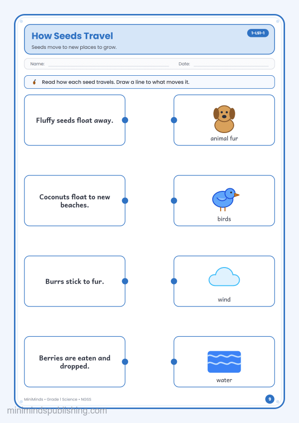How Seeds Travel — free printable 1st Grade science worksheet for ages 6-7 (Common Core 1-LS1-1)