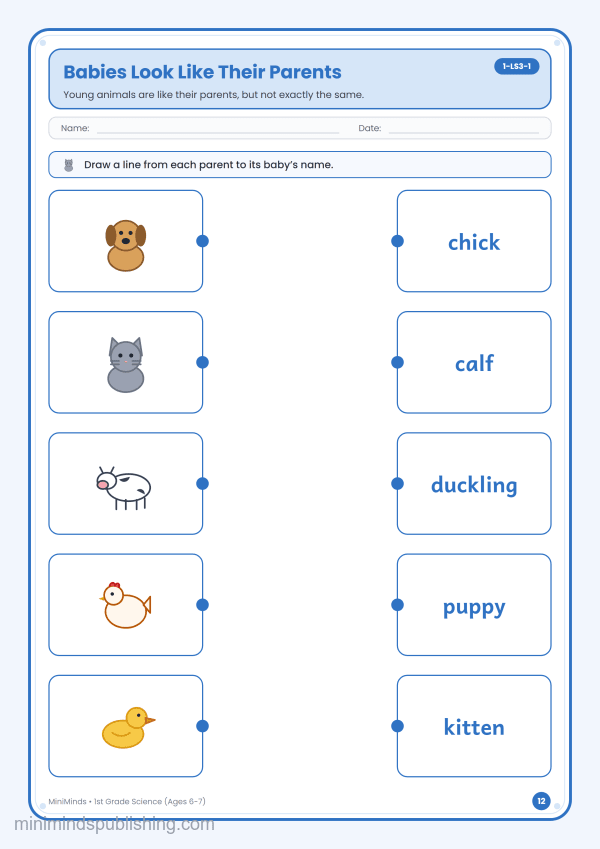 Babies Look Like Their Parents — free printable 1st Grade science worksheet for ages 6-7 (Common Core 1-LS3-1)