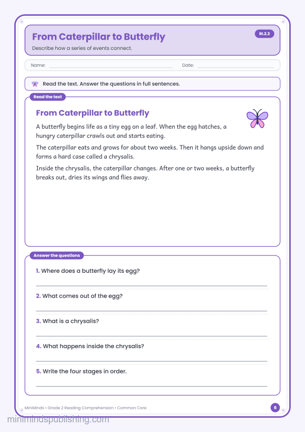From Caterpillar to Butterfly — free printable 2nd Grade reading comprehension worksheet for ages 7-8 (Common Core RI.2.3)