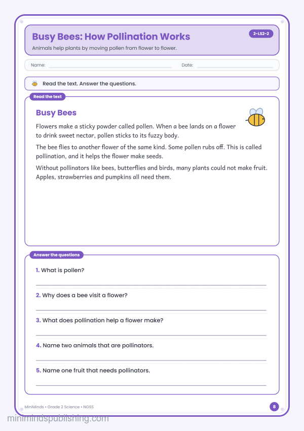 Busy Bees: How Pollination Works — free printable 2nd Grade science worksheet for ages 7-8 (Common Core 2-LS2-2)
