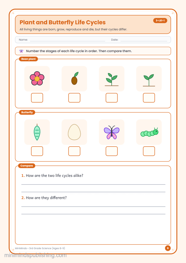 Plant and Butterfly Life Cycles — free printable 3rd Grade science worksheet for ages 8-9 (Common Core 3-LS1-1)