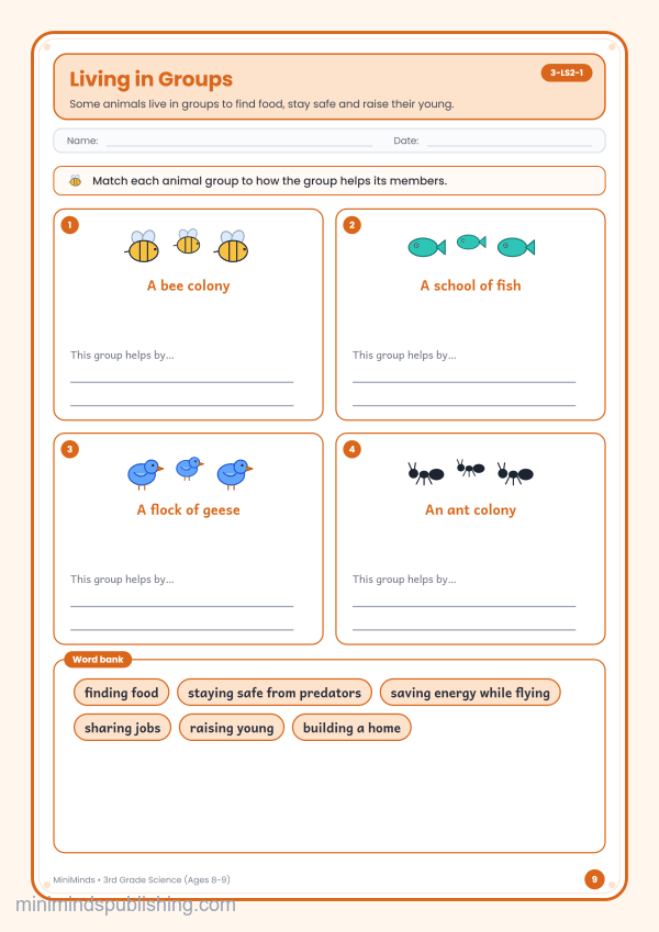Living in Groups — free printable 3rd Grade science worksheet for ages 8-9 (Common Core 3-LS2-1)