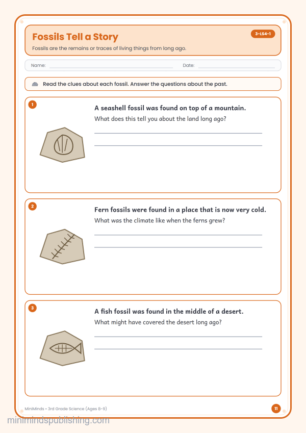 Fossils Tell a Story — free printable 3rd Grade science worksheet for ages 8-9 (Common Core 3-LS4-1)