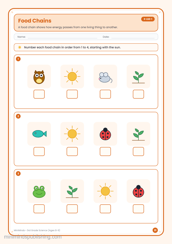 Food Chains — free printable 3rd Grade science worksheet for ages 8-9 (Common Core 3-LS2-1)
