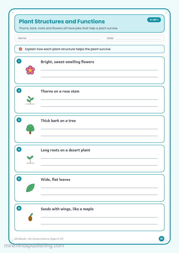 Plant Structures and Functions — free printable 4th Grade science worksheet for ages 9-10 (Common Core 4-LS1-1)