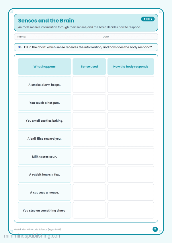 Senses and the Brain — free printable 4th Grade science worksheet for ages 9-10 (Common Core 4-LS1-2)