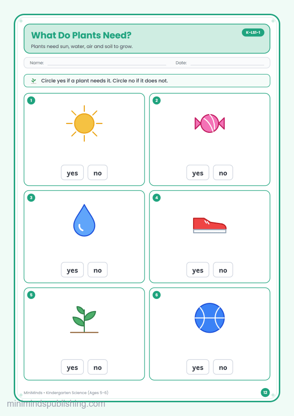 What Do Plants Need? — free printable Kindergarten science worksheet for ages 5-6 (Common Core K-LS1-1)