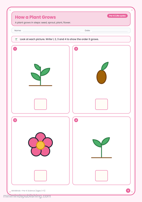 How a Plant Grows — free printable Pre-K science worksheet for ages 3-5