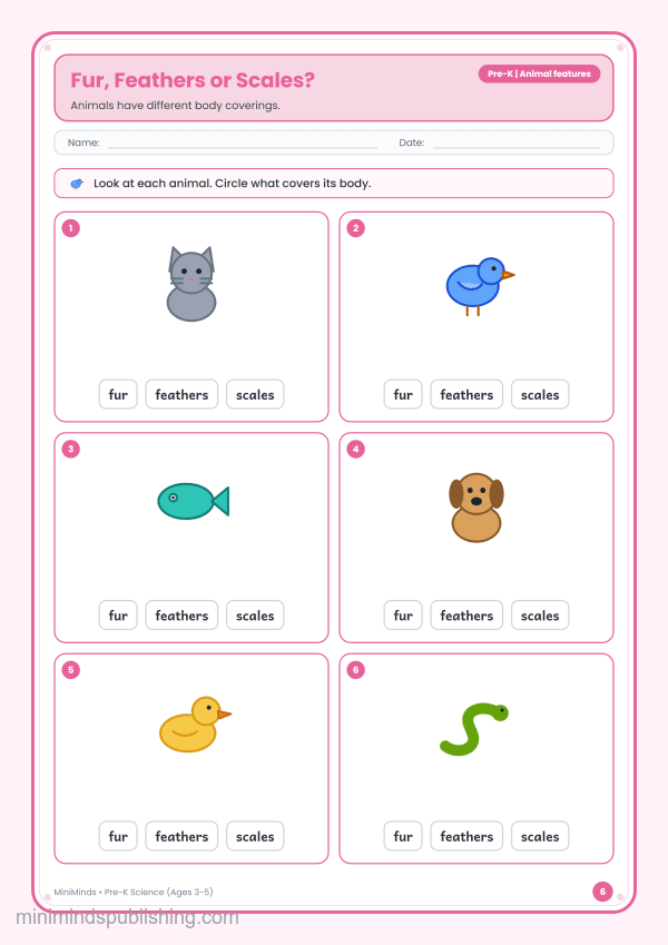 Fur, Feathers or Scales? — free printable Pre-K science worksheet for ages 3-5
