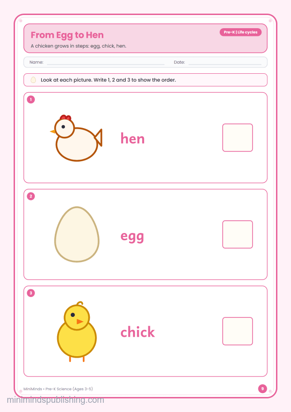 From Egg to Hen — free printable Pre-K science worksheet for ages 3-5