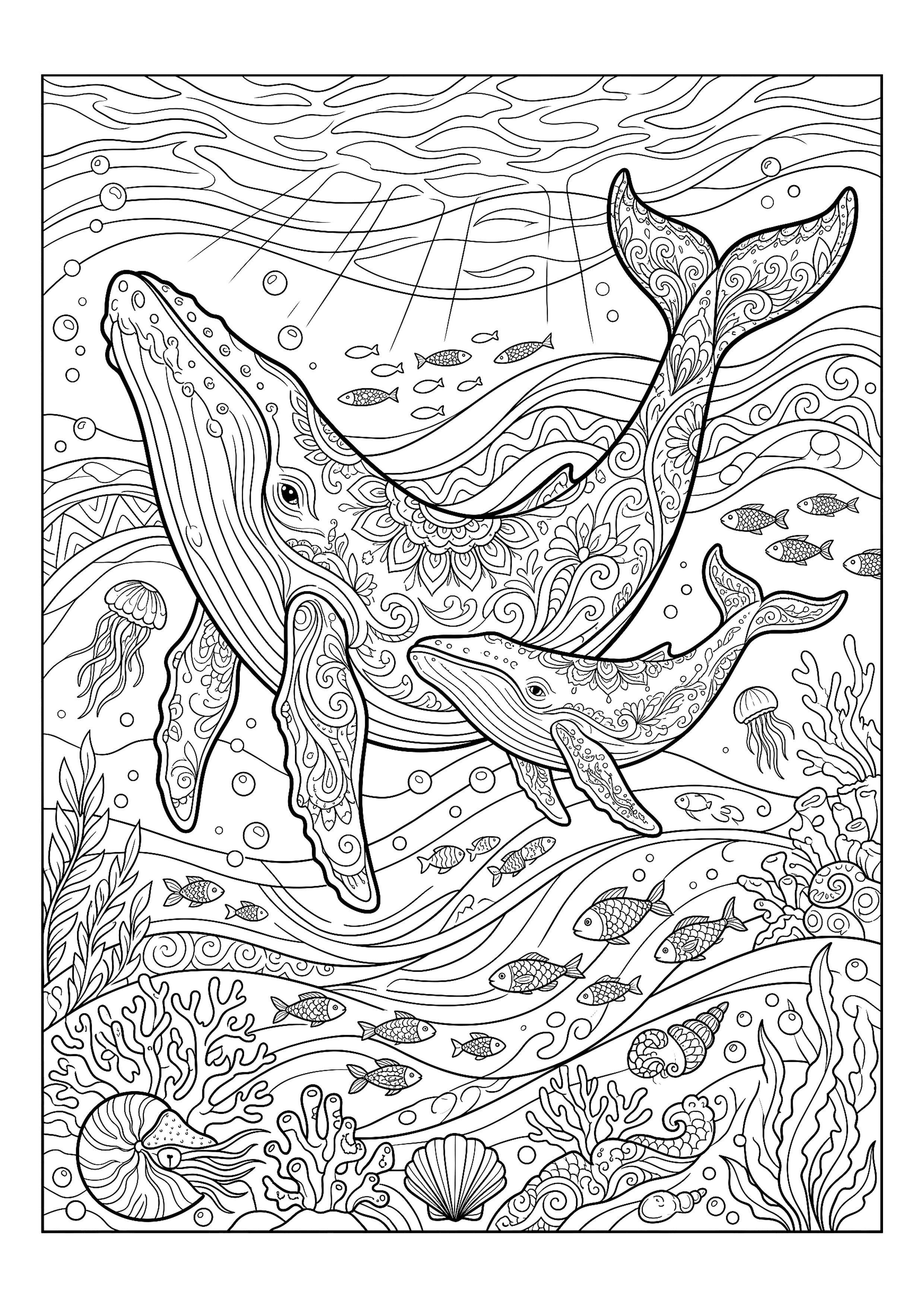 Humpback Whale Swimming with Her Calf — free printable under the sea coloring page
