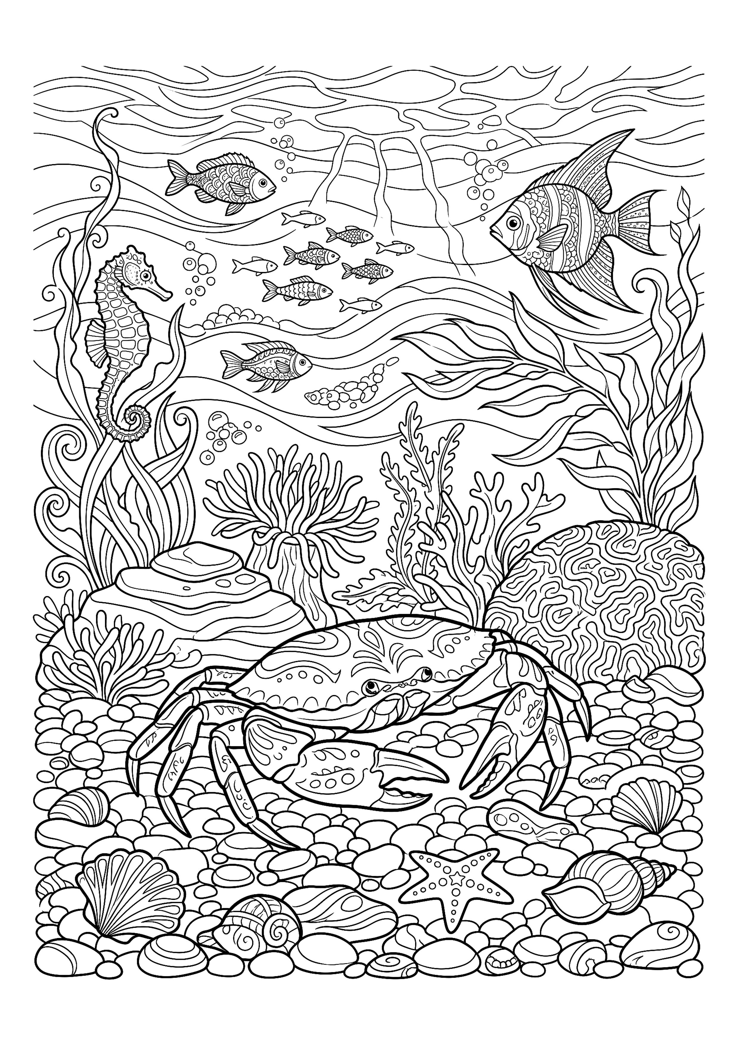 Crab Crossing a Seabed of Pebbles — free printable under the sea coloring page