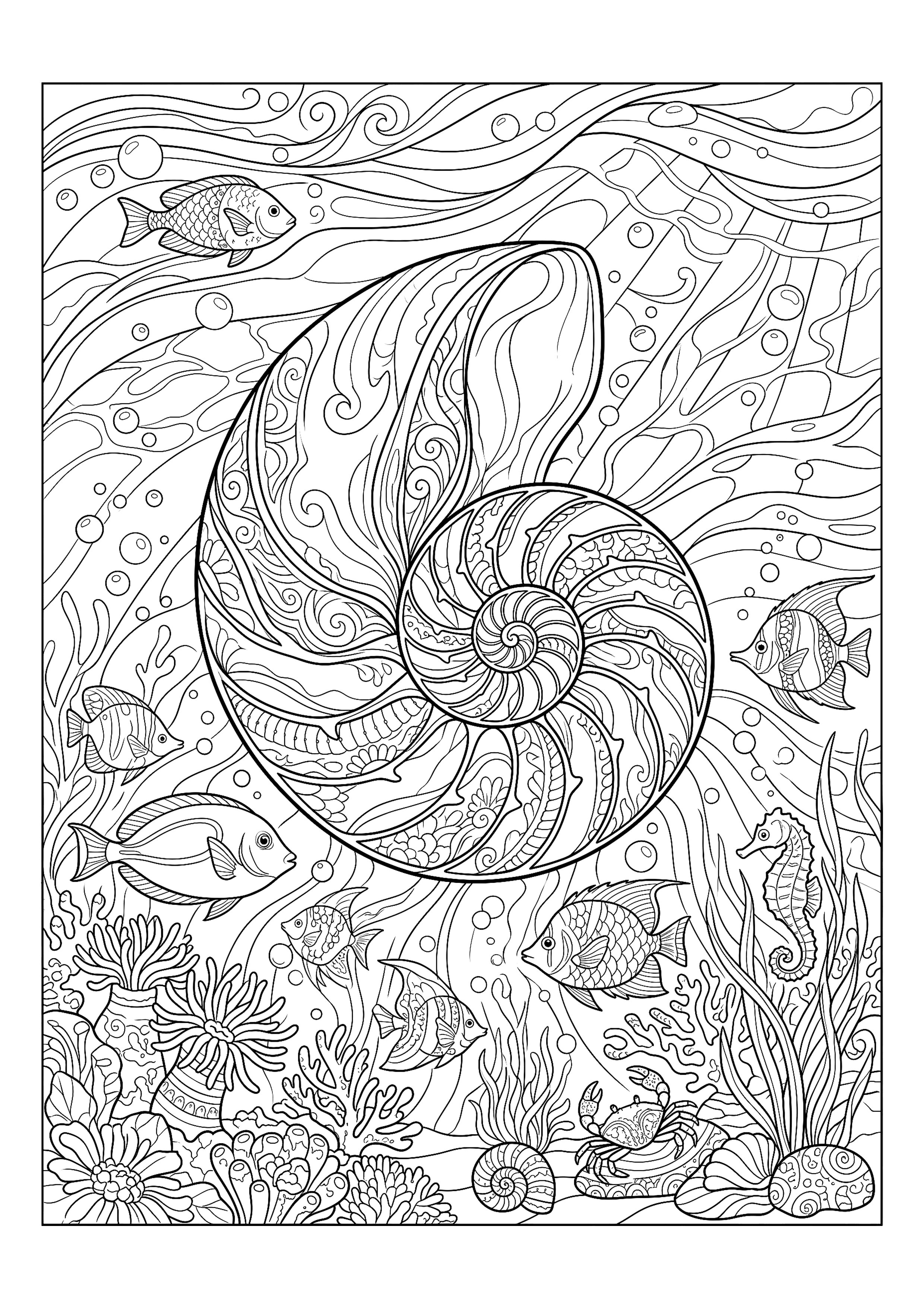 Nautilus Shell Cut to Show Its Spiral Chambers — free printable under the sea coloring page