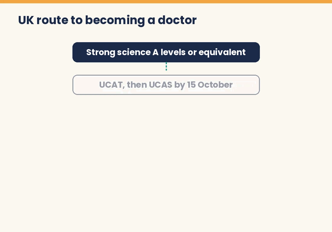 Flow chart of the UK route to becoming a doctor
