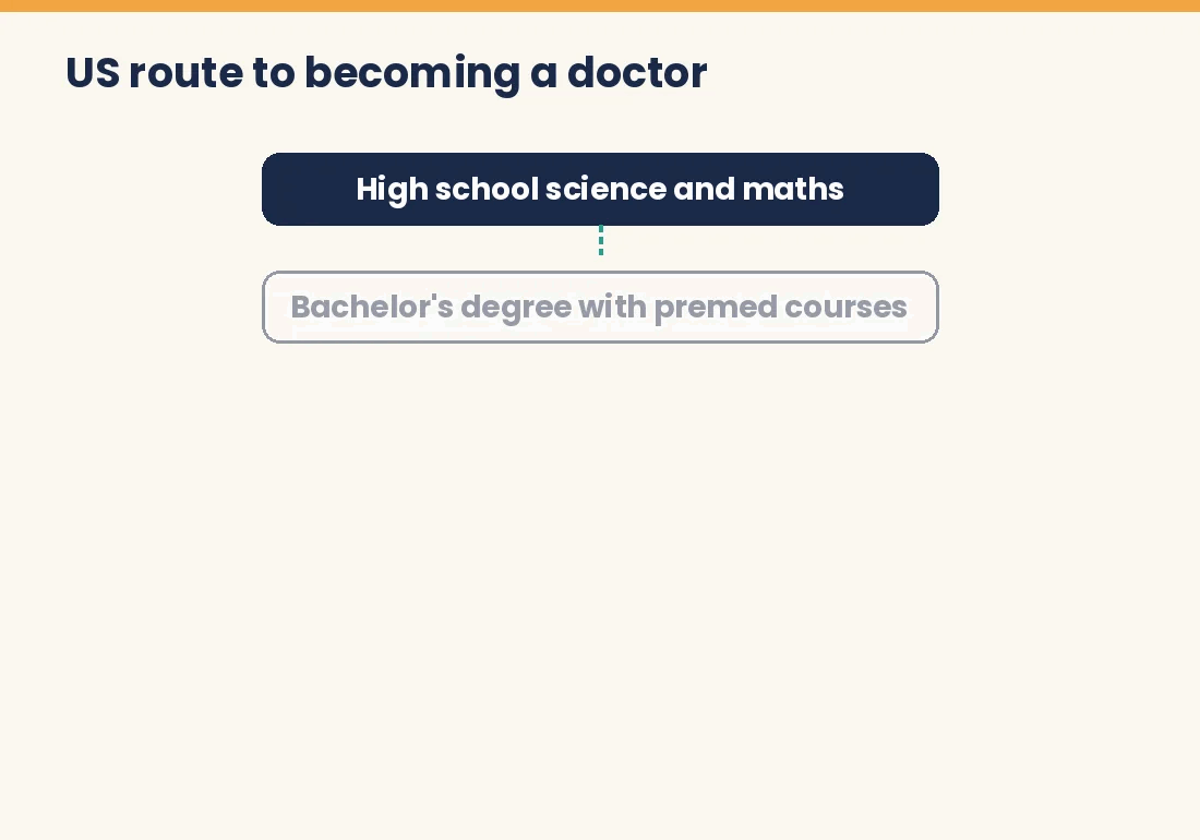 Flow chart of the US route to becoming a doctor
