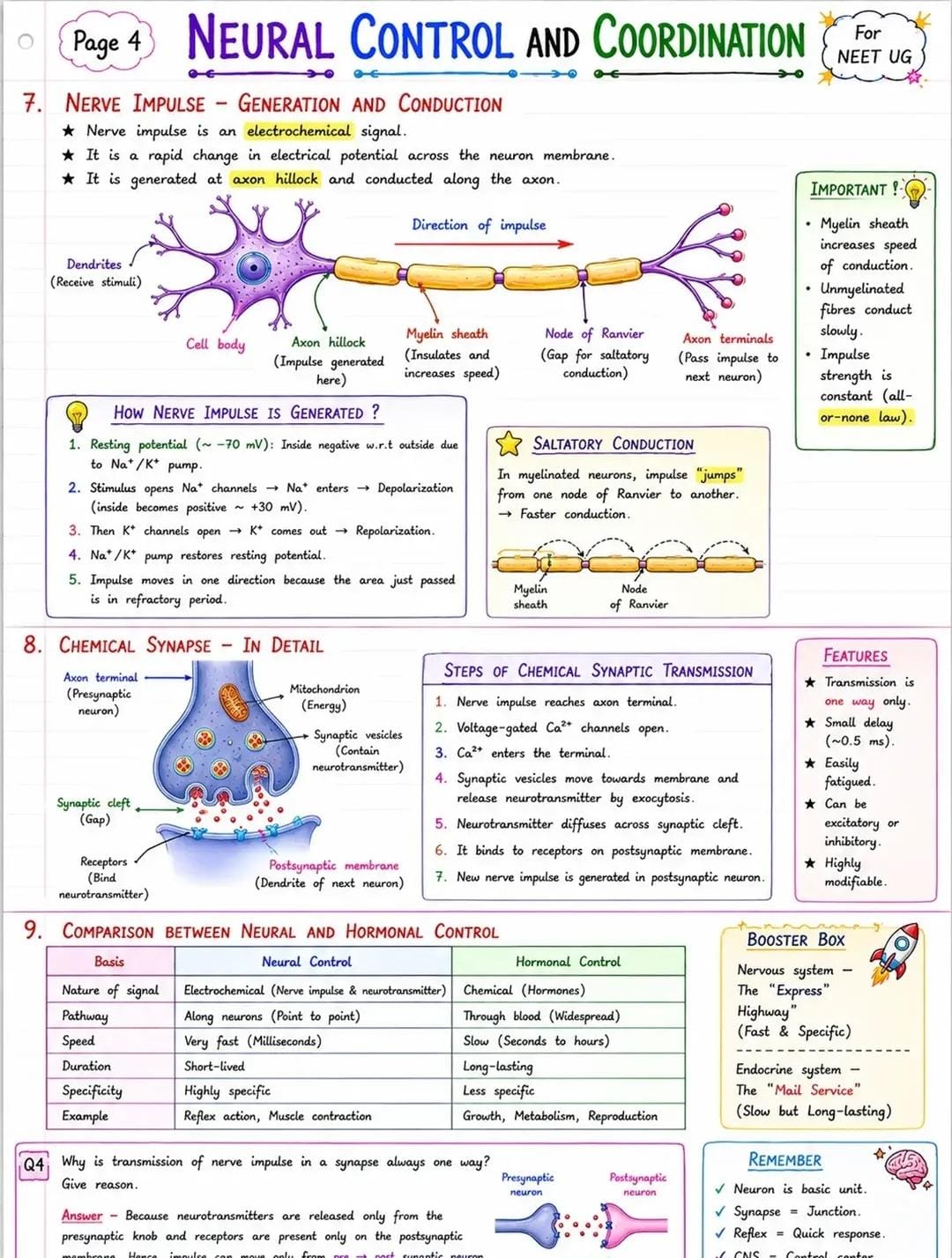 Nerve Impulse — Generation & Conduction