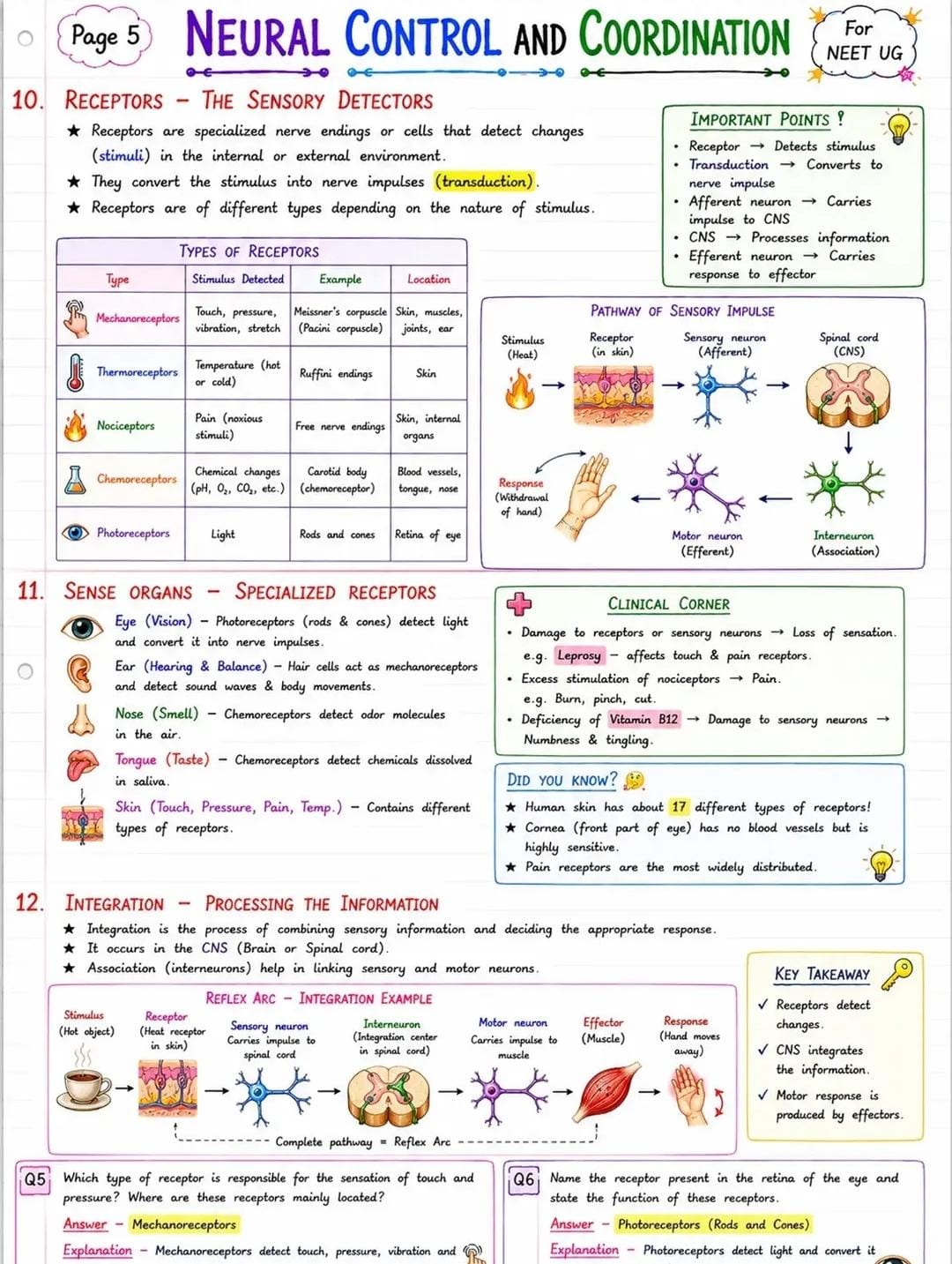 Receptors, Sense Organs & Integration