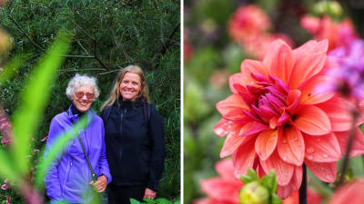 Inspirerende hagereise til Halland i Sverige