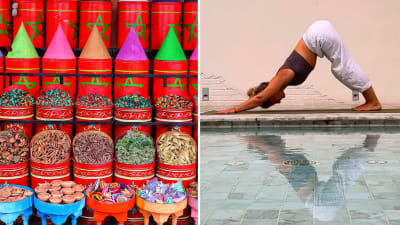 Finn roen p� v�r deilige yogareise til magiske Marokko