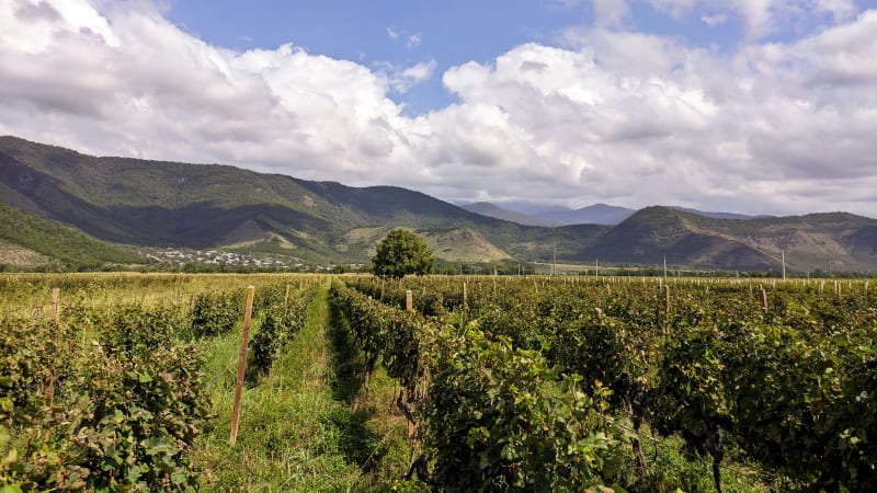Fra Tbilisi til vinregionen Kakheti