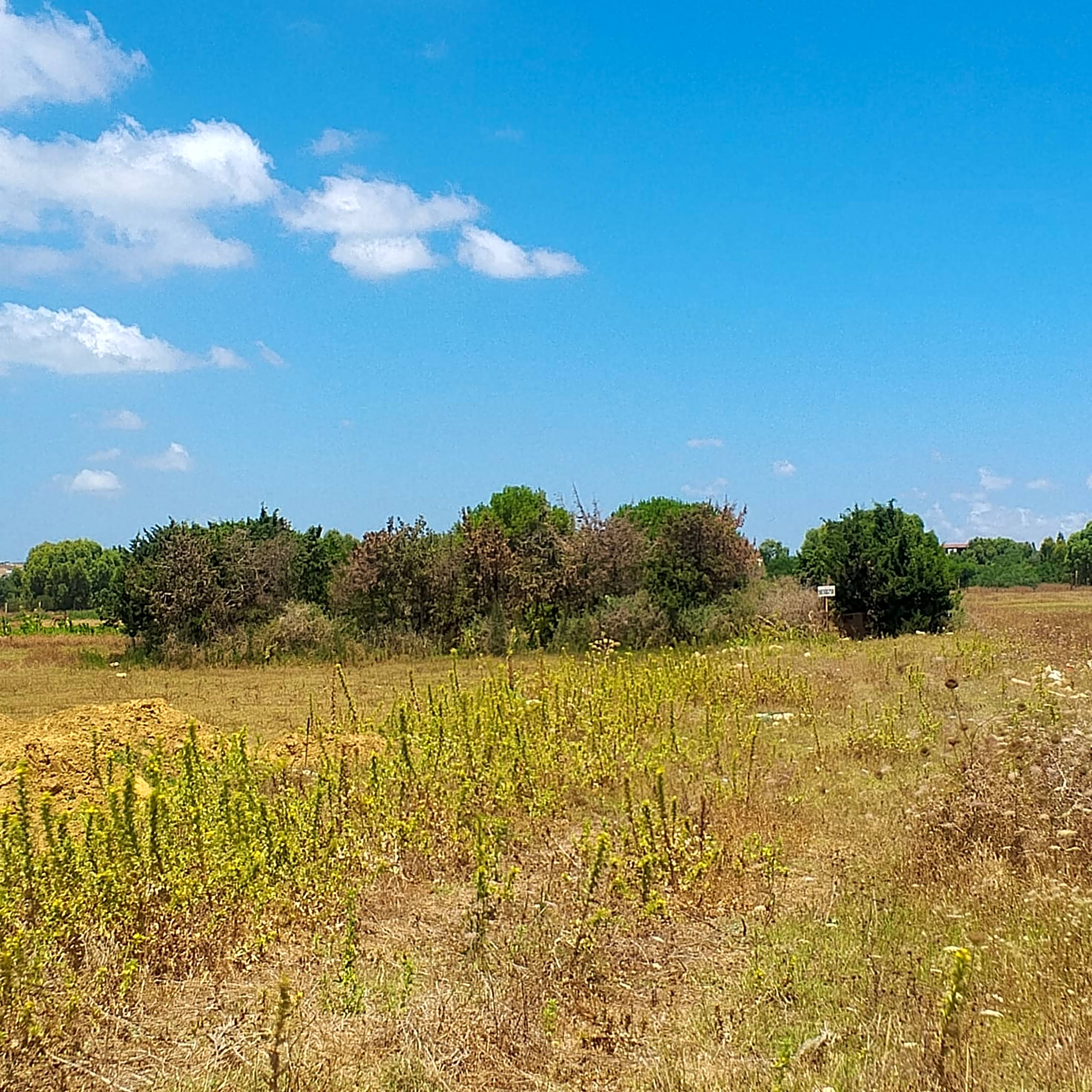 Terrain Hammam Laghzez 1300m² Bord de Mer 6