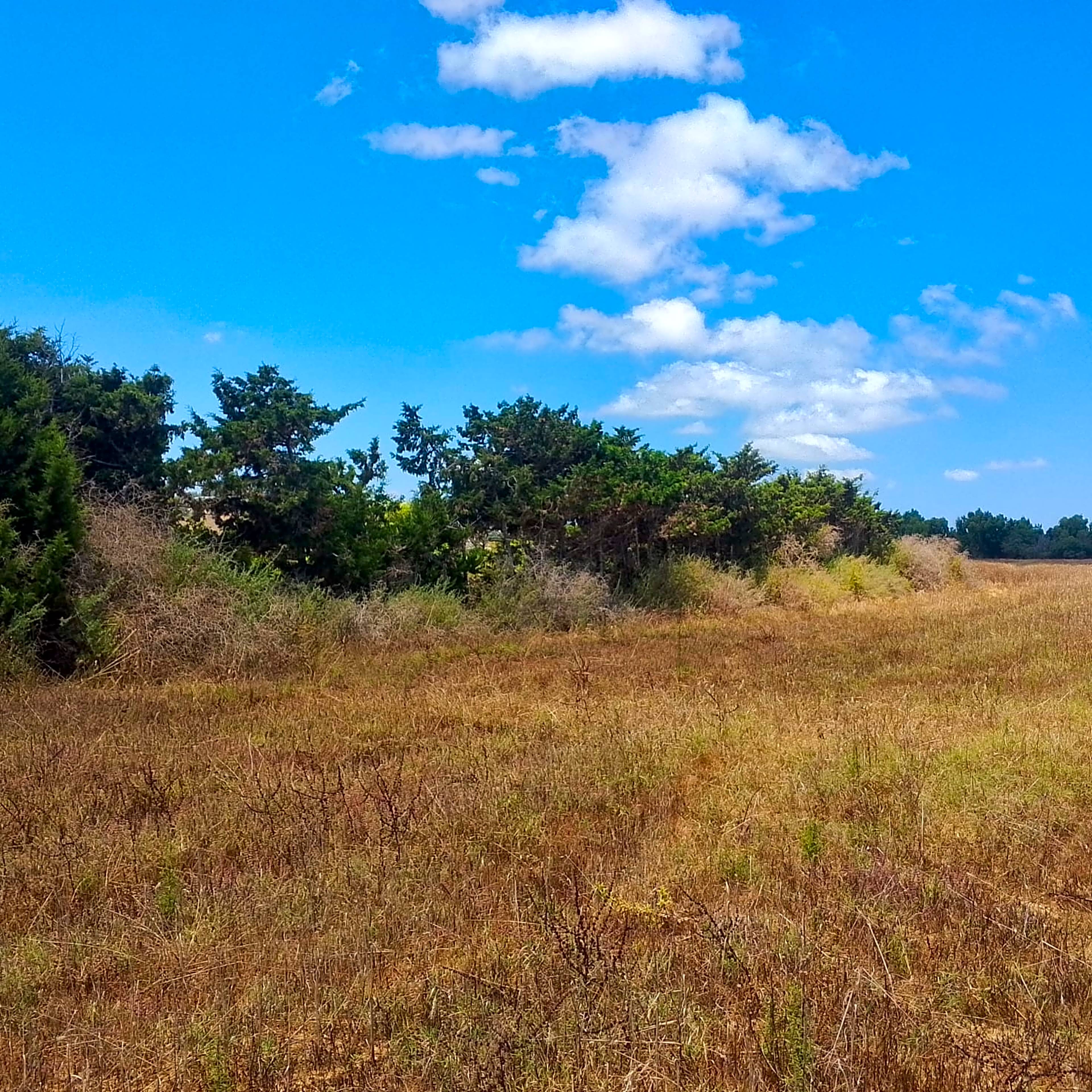 Terrain Hammam Laghzez 1300m² Bord de Mer 8