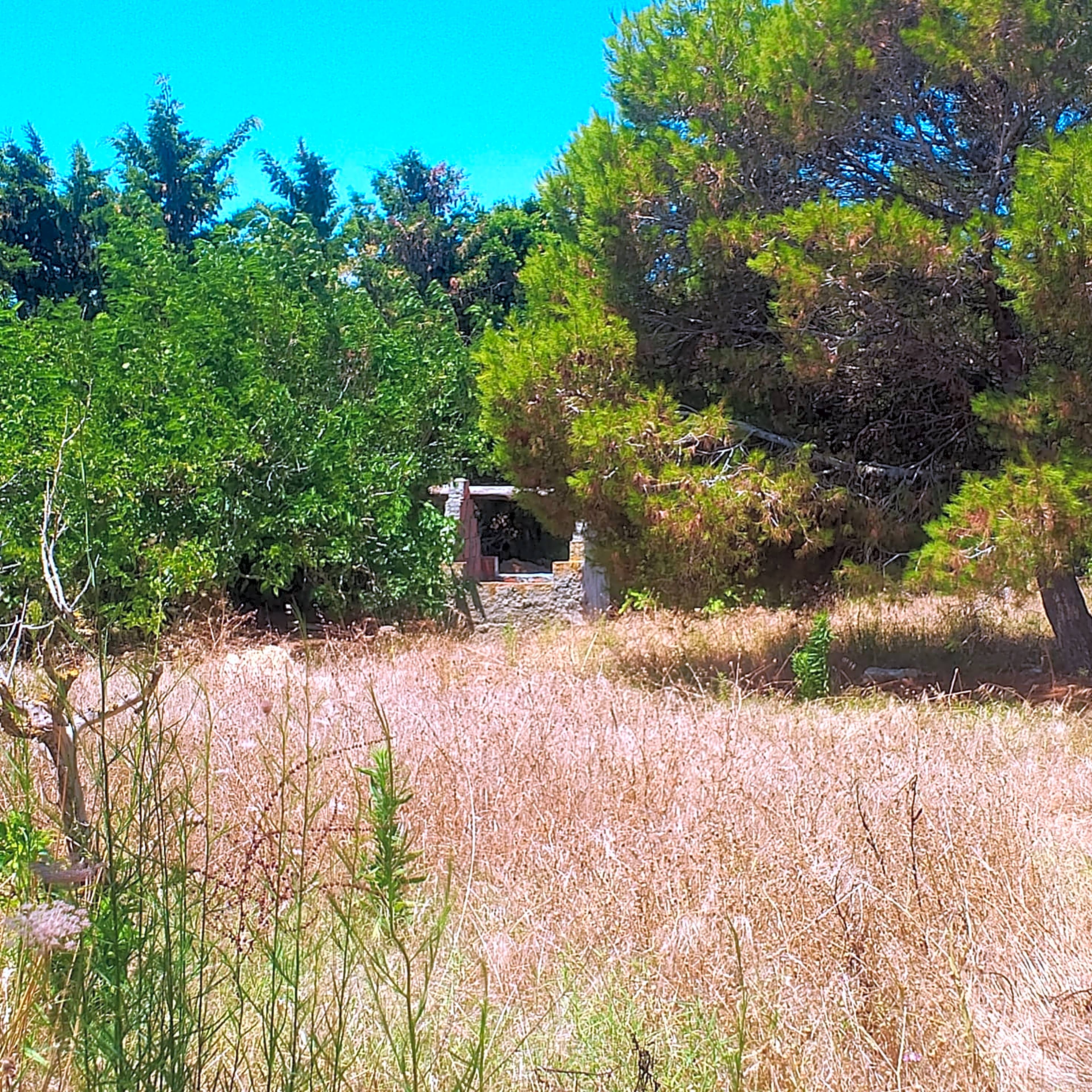 Terrain Hammam Laghzez 1300m² Bord de Mer 2