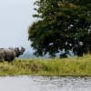 10 Days Arunachal Tour Package with Kaziranga and Tawang Guwahati Itinerary Day 1