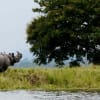 10 Days Arunachal Tour Package with Kaziranga and Tawang Guwahati 