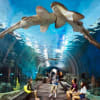 Underwater World Pattaya 